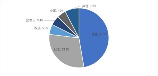 2020年全球便携式储能(néng)主要销售國(guó)家和區(qū)域分(fēn)布